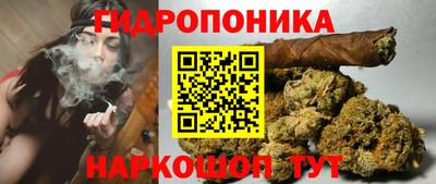 спайс Ефремов