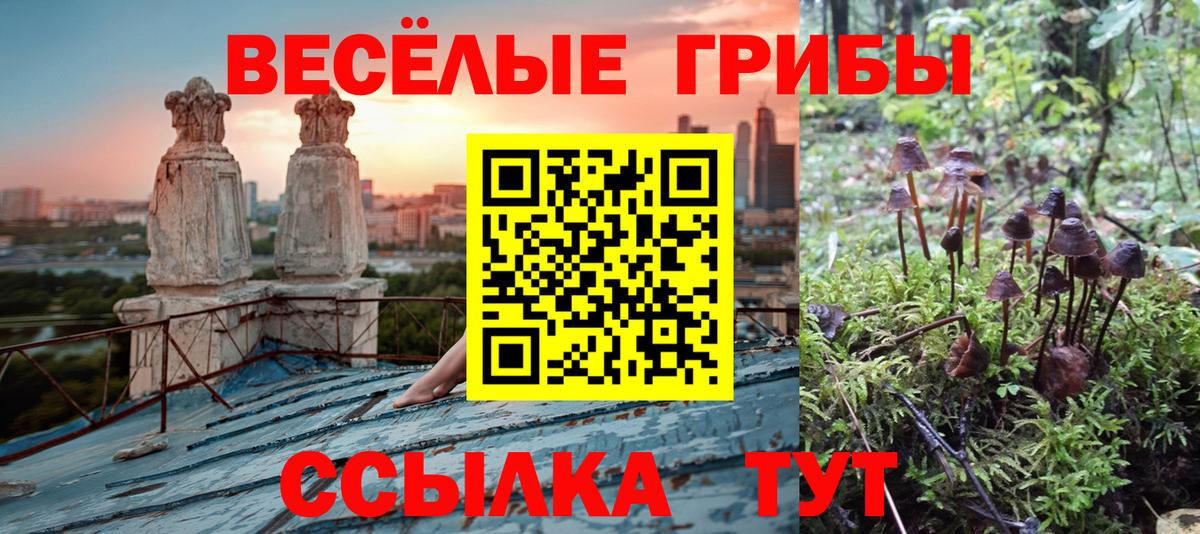 Галлюциногенные грибы мухоморы Элиста