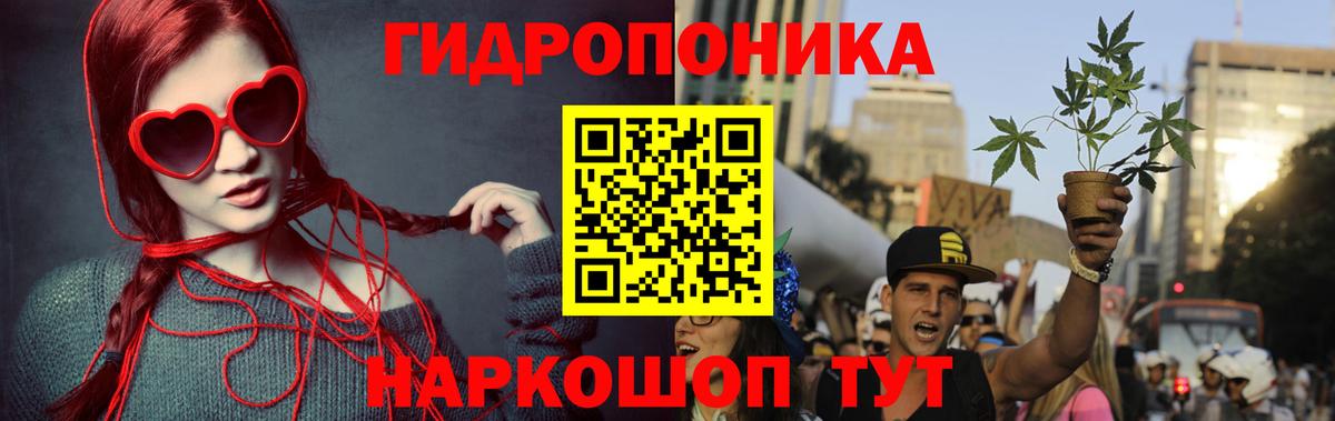 Шишки марихуана Amnesia Элиста